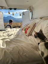 RV rental bliss: A man and cat relax on a cozy bed, gazing at majestic snow-capped mountains from their open camper van.