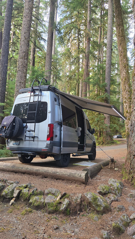Grey RV rental van with awning extended at a forest campsite, a dog on a leash nearby.