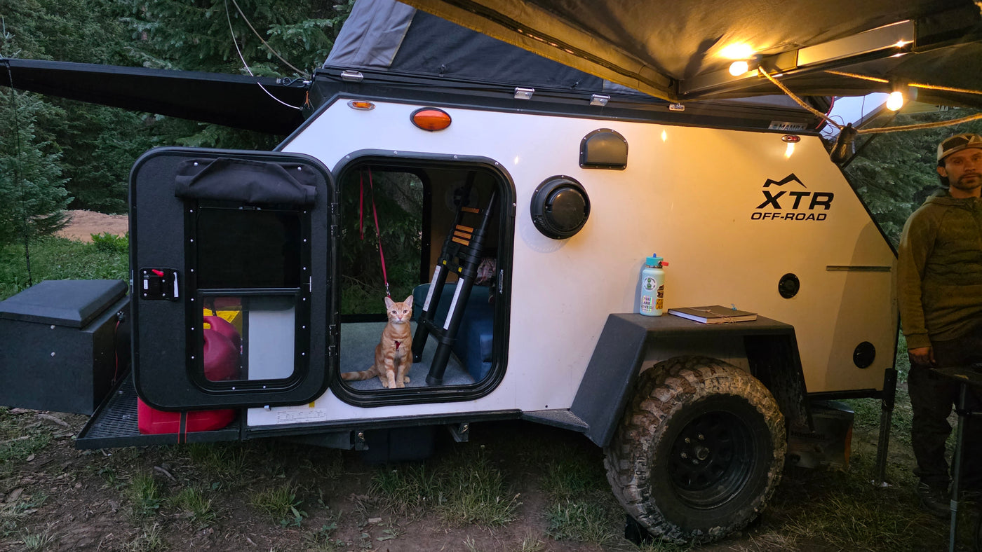 This off-road RV rental features a teardrop camper with an awning, string lights, and a cat, ideal for camping adventures. — photo 6