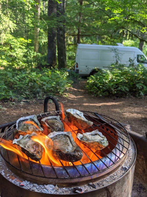 Six oysters grill over flames on a camp stove, with a white RV rental van parked at a green forest campsite.