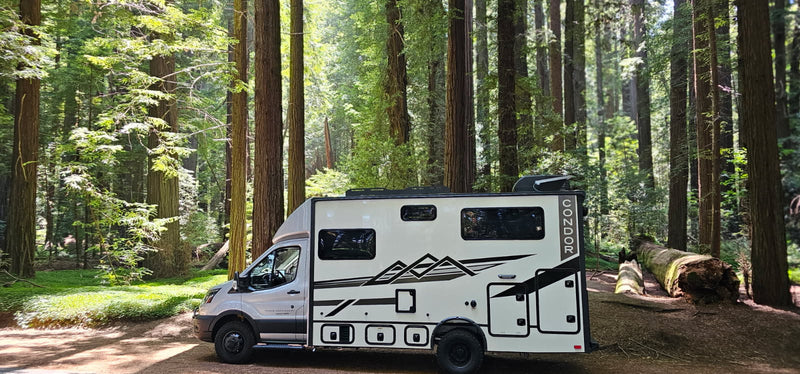  with red rock formations and blue sky in background.|White camper van RV rental parked in a vibrant redwood forest. Sunbeams pierce the canopy — photo 3
