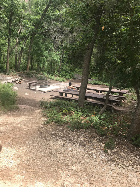 Relaxing at a shady forest campsite with picnic tables and fire pit. Perfect for your next RV rental adventure.