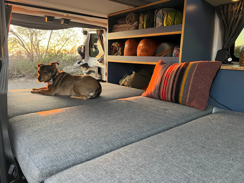 Cozy RV rental interior: dog relaxing on a gray bed, open back doors to a sunset view, organized camping gear on shelves. — photo 7