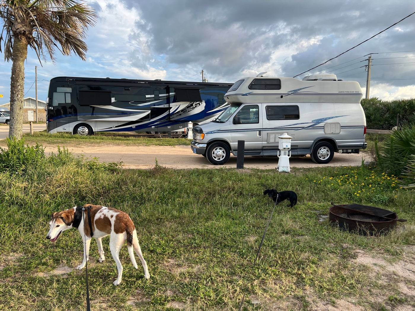Dogs on leash at a campground with a large black RV & a silver Airstream 190 camper van, ideal for your next rv rental trip. — photo 10