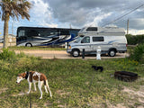 Dogs on leash at a campground with a large black RV & a silver Airstream 190 camper van, ideal for your next rv rental trip.