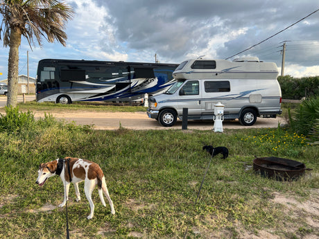 Dogs on leash at a campground with a large black RV & a silver Airstream 190 camper van, ideal for your next rv rental trip.