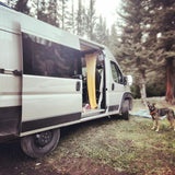 RV rental camper van parked in a forest, side door open with a yellow curtain. A dog stands on grass nearby. Van life adventures!