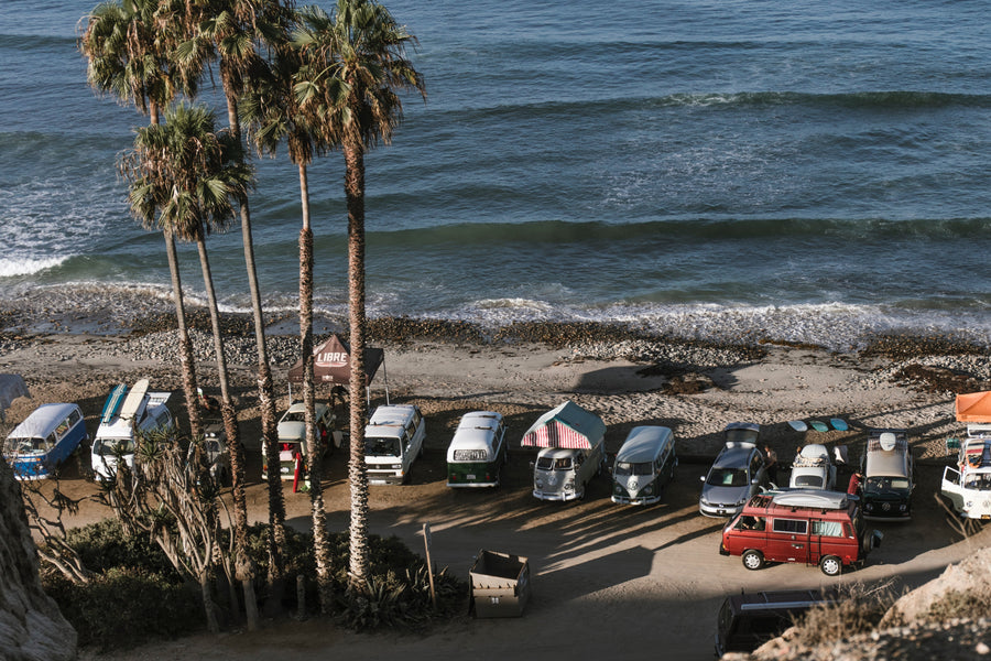 Vintage camper vans parked under palm trees on a sunny beach by the ocean. Perfect for an RV rental adventure!