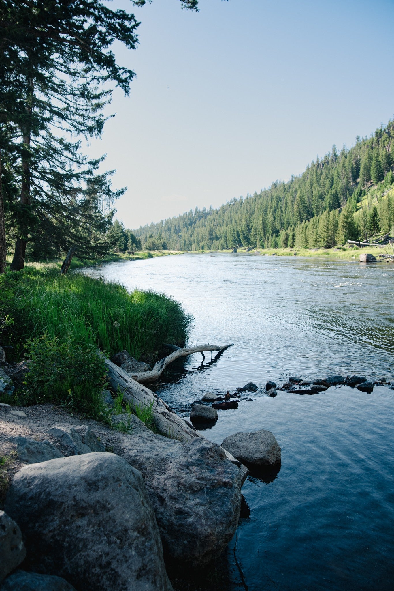 This serene river flowing through dense forests offers stunning views. Imagine this on your RV rental journey, a perfect nature escape.