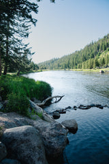 This serene river flowing through dense forests offers stunning views. Imagine this on your RV rental journey, a perfect nature escape.