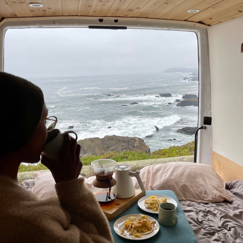 The Baby Beluga: Sprinter Van — photo 3