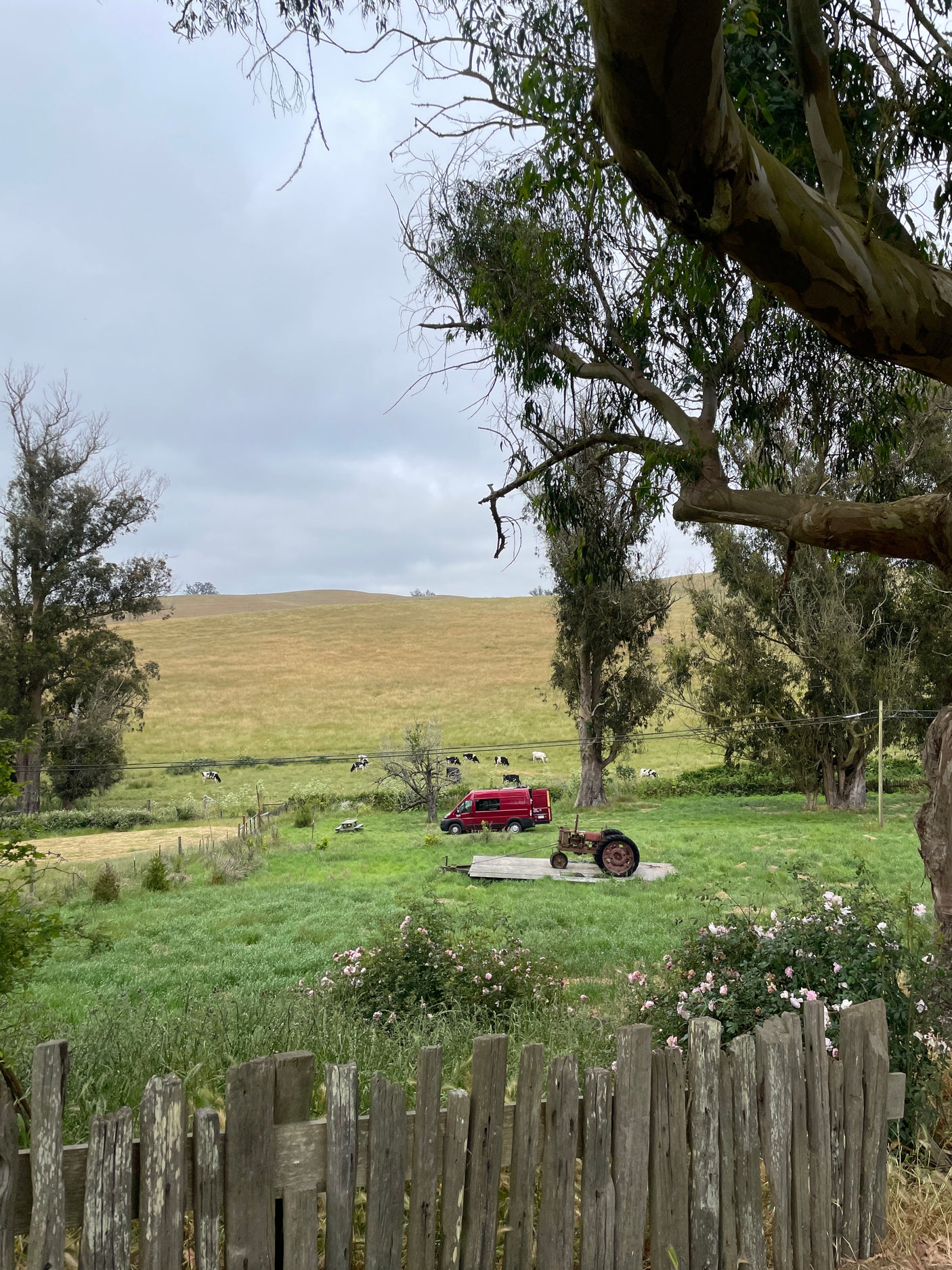Scenic rural view: a red **RV rental** camper van and an old tractor in green fields with cows and rolling hills.