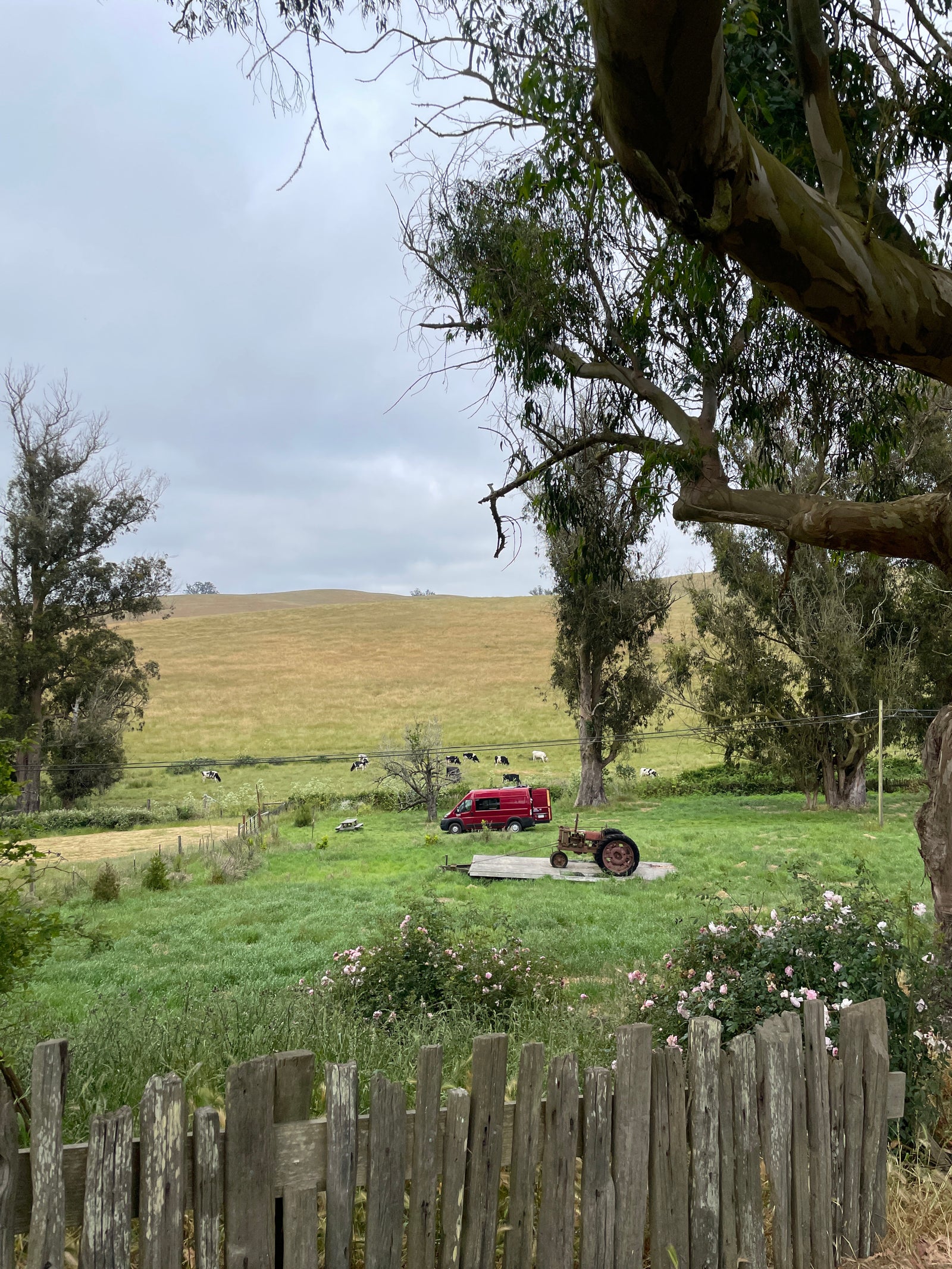 Scenic rural view: a red **RV rental** camper van and an old tractor in green fields with cows and rolling hills.