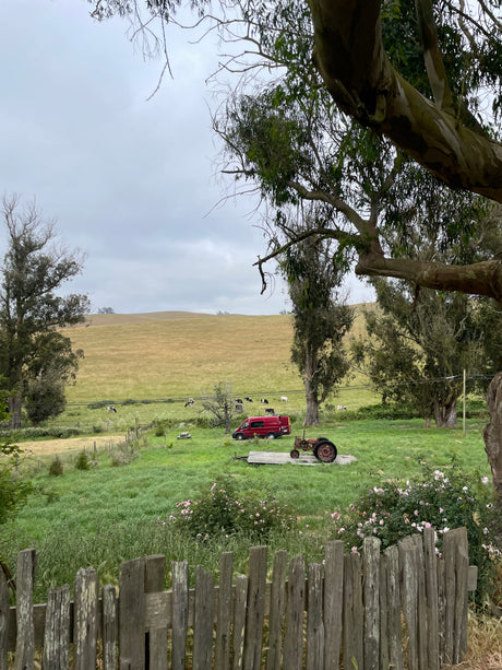 Scenic rural view: a red **RV rental** camper van and an old tractor in green fields with cows and rolling hills.
