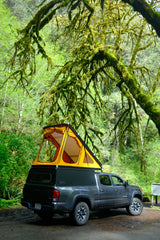 RV rental: A grey pickup truck with an orange pop-up camper parked under mossy trees in a lush forest. Ready for adventure.