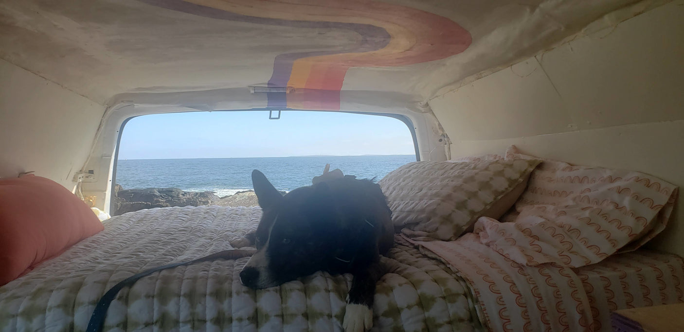 Enjoying a serene ocean view from this cozy RV rental. A happy dog rests on the bed under a colorful rainbow ceiling.
