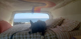 Enjoying a serene ocean view from this cozy RV rental. A happy dog rests on the bed under a colorful rainbow ceiling.