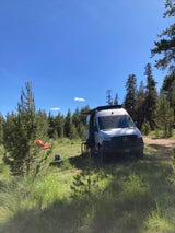 An RV rental van and orange tent nestled in a sunny forest campsite, ready for adventure.