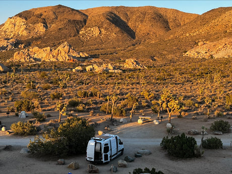 RV rental parked at a desert campsite among Joshua trees and mountains at golden hour. Perfect for a nature retreat.