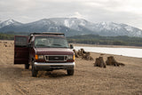 A maroon Ford RV rental van on a gravel lake shore with tree stumps and snow-capped mountains under an overcast sky.