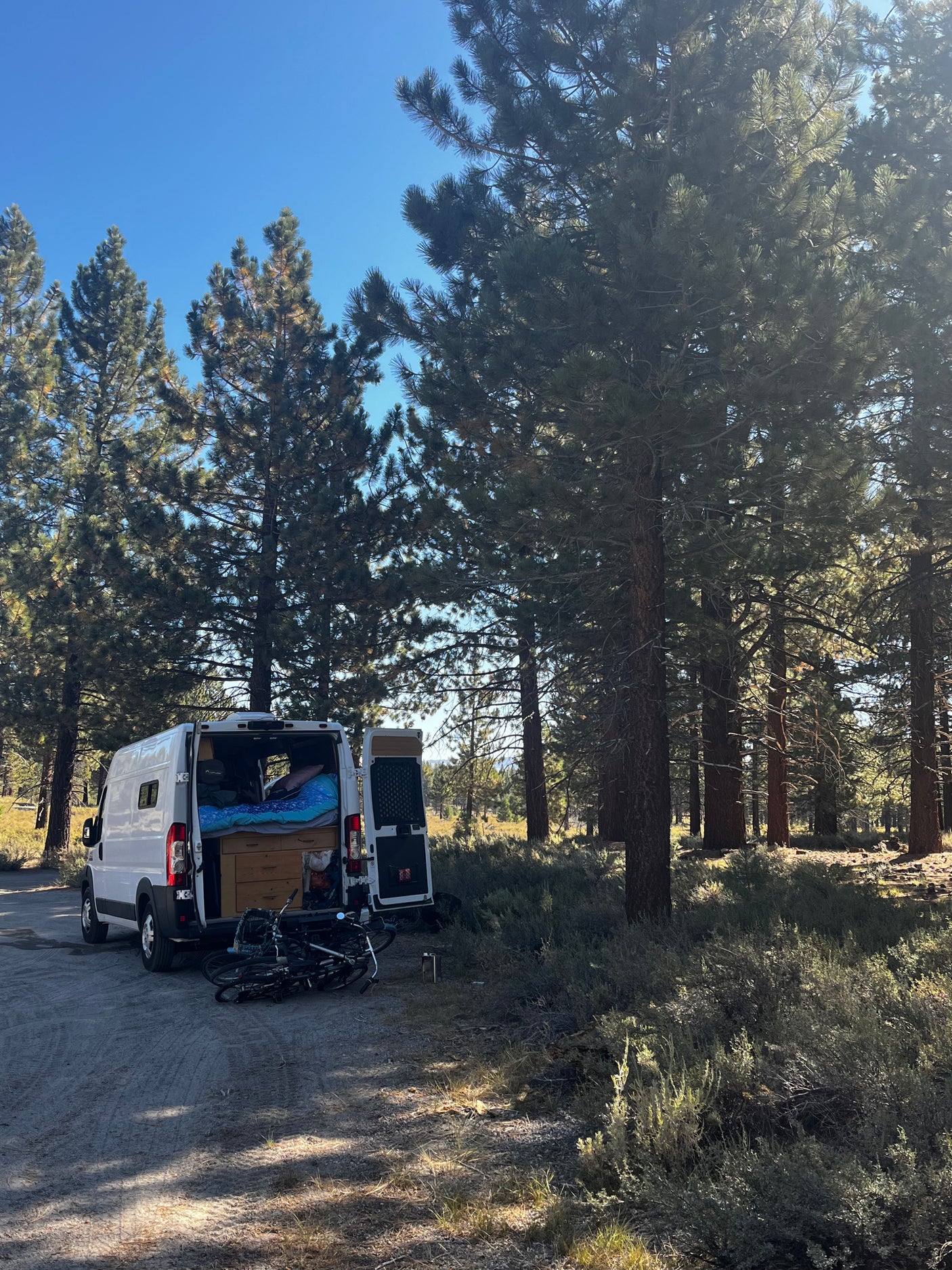 An RV rental, a white camper van with its back open revealing a bed and storage, parked on a dirt path in a sunny pine forest with bikes.