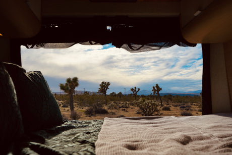 RV rental view: Cozy bed overlooking Joshua trees, desert landscape, and snowy mountains under a cloudy sky.