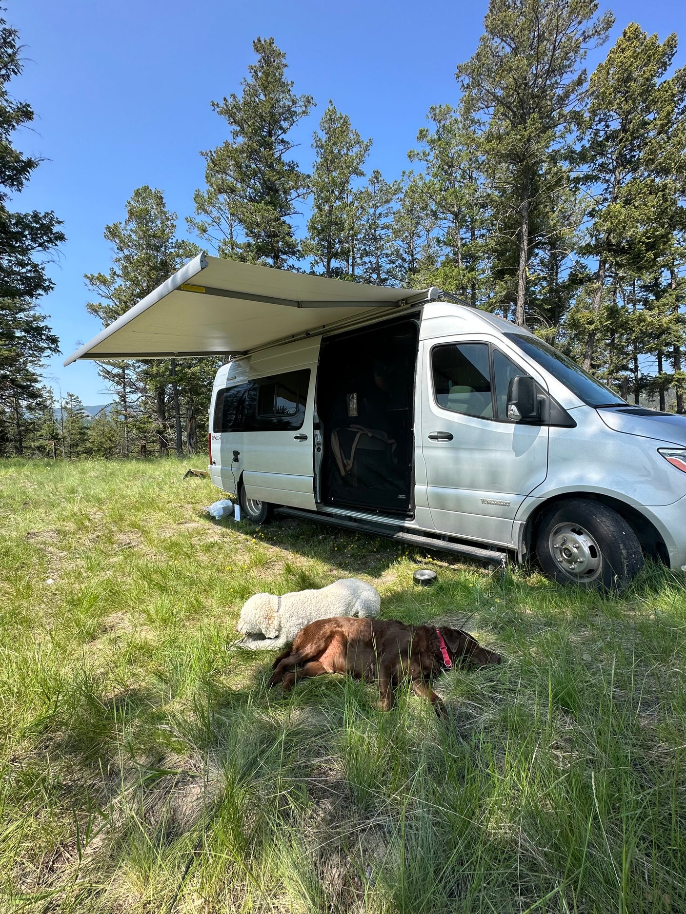 RV rental: Bright camper van with awning out in a sunny, grassy field. Two dogs nap peacefully nearby.
