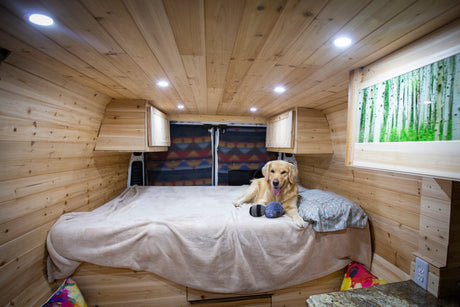 A golden retriever relaxes on a comfy bed in a cozy wood-paneled RV rental, ideal for dog-friendly van life adventures.