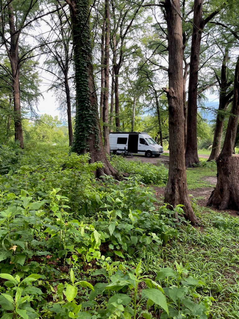 A white camper van, ideal for an RV rental, is parked among tall trees and lush green foliage in a peaceful forest setting.