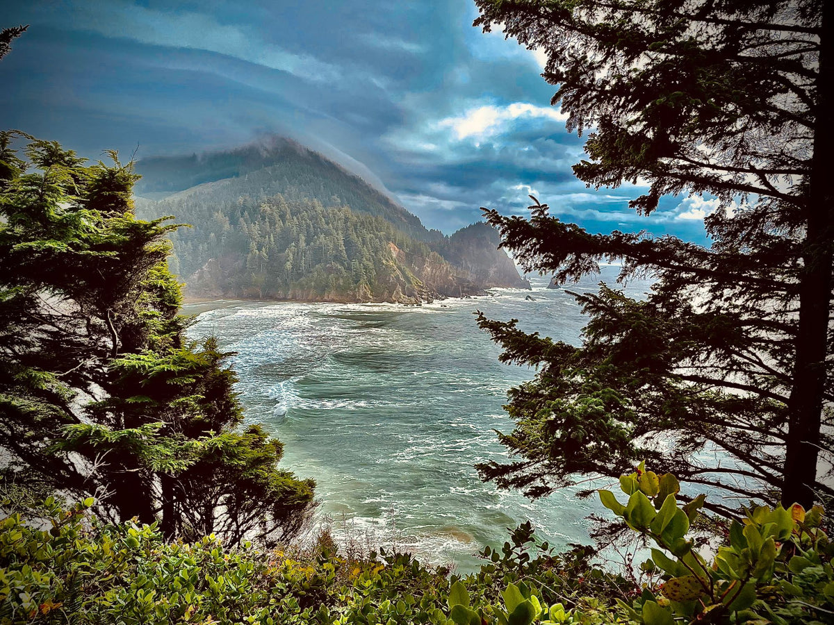  and stylish decor for van life.|Crescent moon over a tranquil lake with Mount Rainier and forest at dusk. Plan your scenic RV rental escape.|Inside an RV rental: Mercedes-Benz Sprinter dashboard with steering wheel controls — photo 8