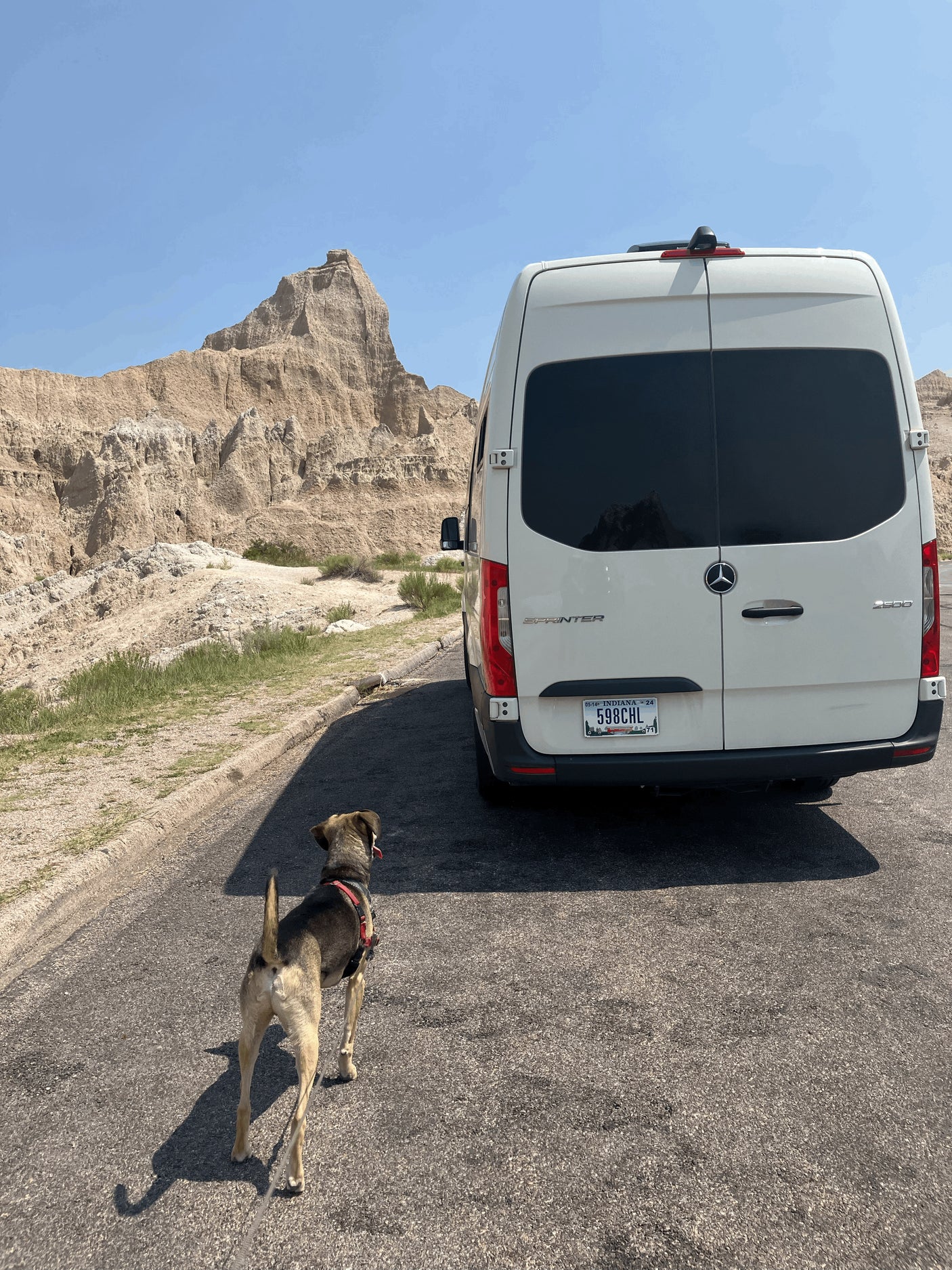 RV rental: A white Mercedes Sprinter van and a dog on a road trip through a dramatic badlands landscape.