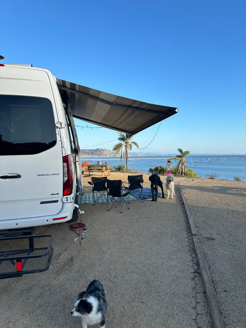 An RV rental parked by a scenic bay with boats. An extended awning, chairs, & three dogs create a peaceful campsite. — photo 16