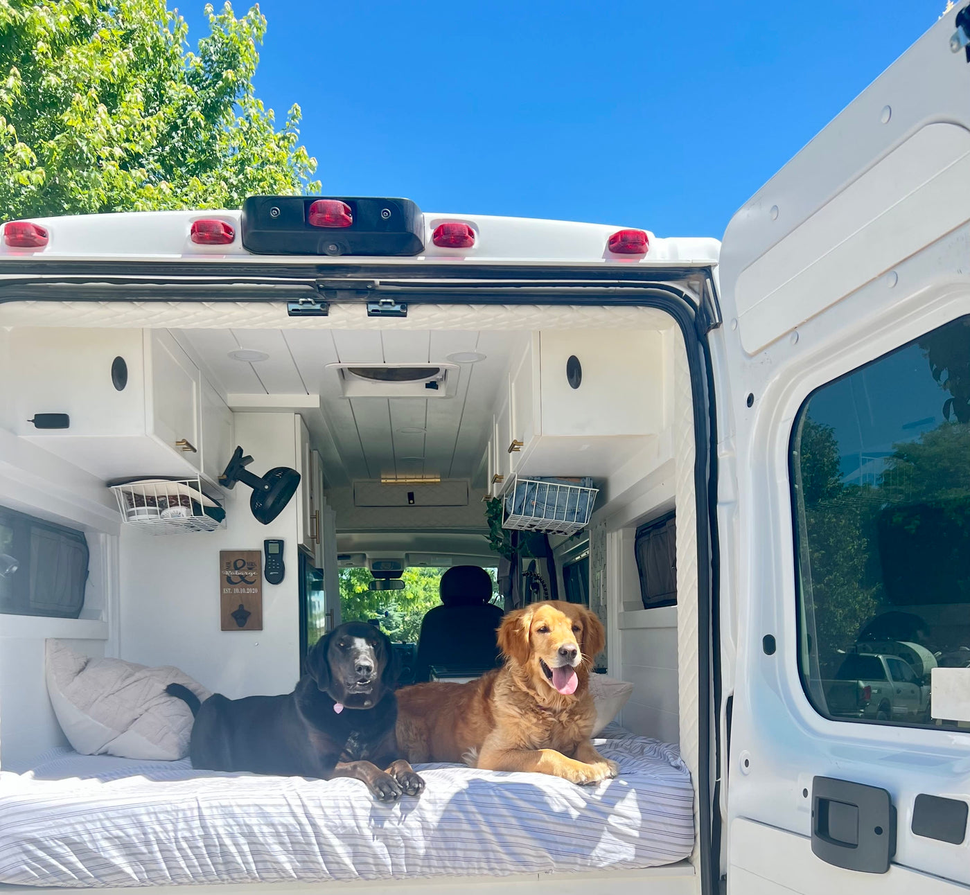 Two happy dogs enjoy a sunny day in their comfy camper van. Perfect for your next pet-friendly RV rental adventure! — photo 15