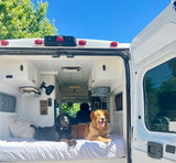 Two happy dogs enjoy a sunny day in their comfy camper van. Perfect for your next pet-friendly RV rental adventure!