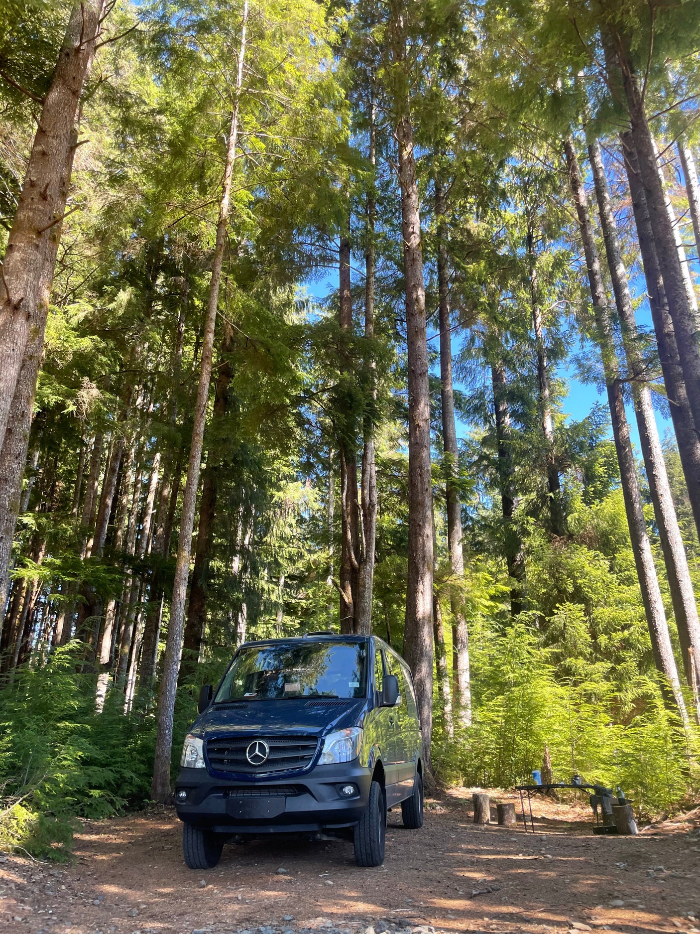 A dark blue Sprinter camper van (RV rental) parked in a sunny forest campsite.