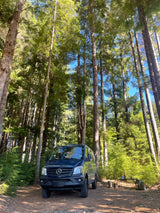 A dark blue Sprinter camper van (RV rental) parked in a sunny forest campsite.