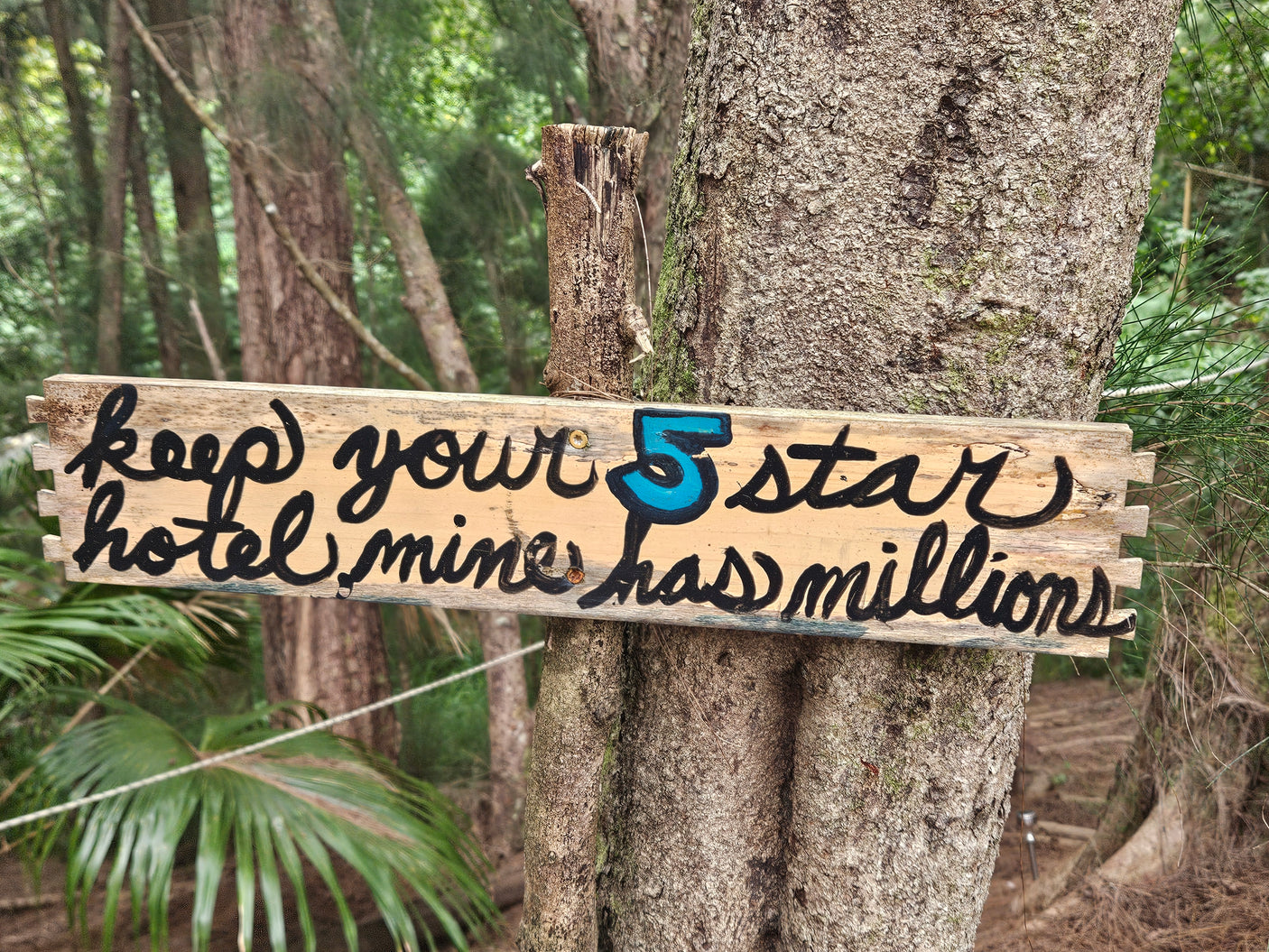 A wooden sign on a tree reads 'Keep your 5 star hotel mine has millions!', an ode to nature's luxury for an RV rental escape.