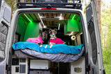 Two adorable dogs in pink coats relax on a bed inside a well-lit RV rental van, ready for a cozy adventure.