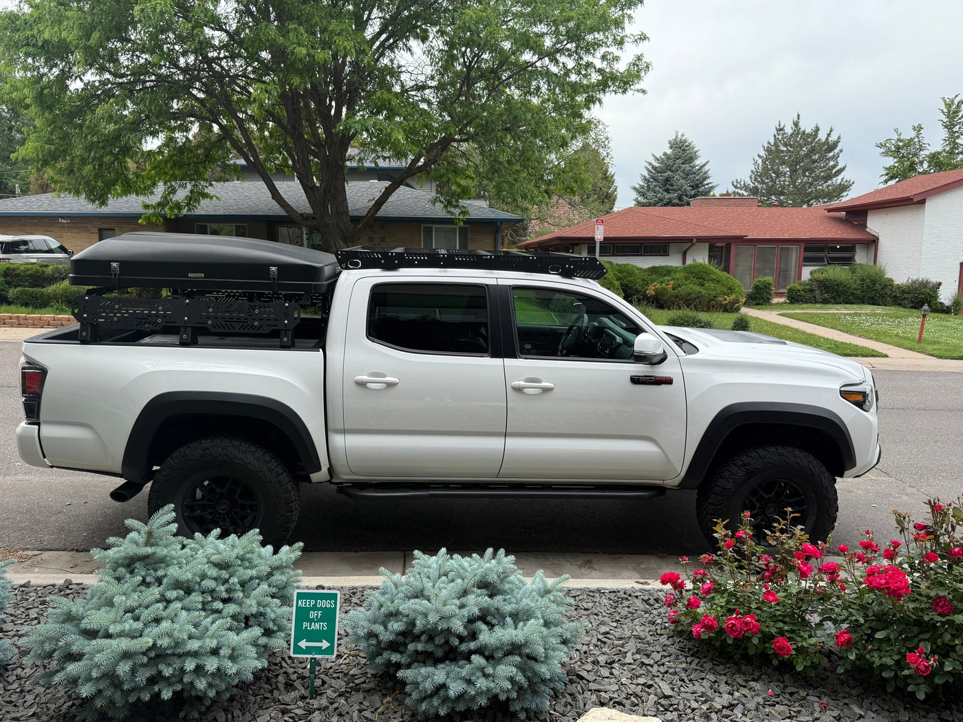 White Toyota Tacoma truck with an overland rooftop tent & bed rack, ready for an RV rental-like adventure. — photo 17