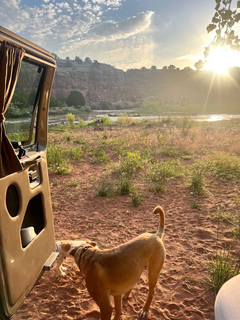  enjoying river views at sunrise/sunset. Pet-friendly outdoor adventure awaits!|Detailed RV rental interior: beige seats — photo 3