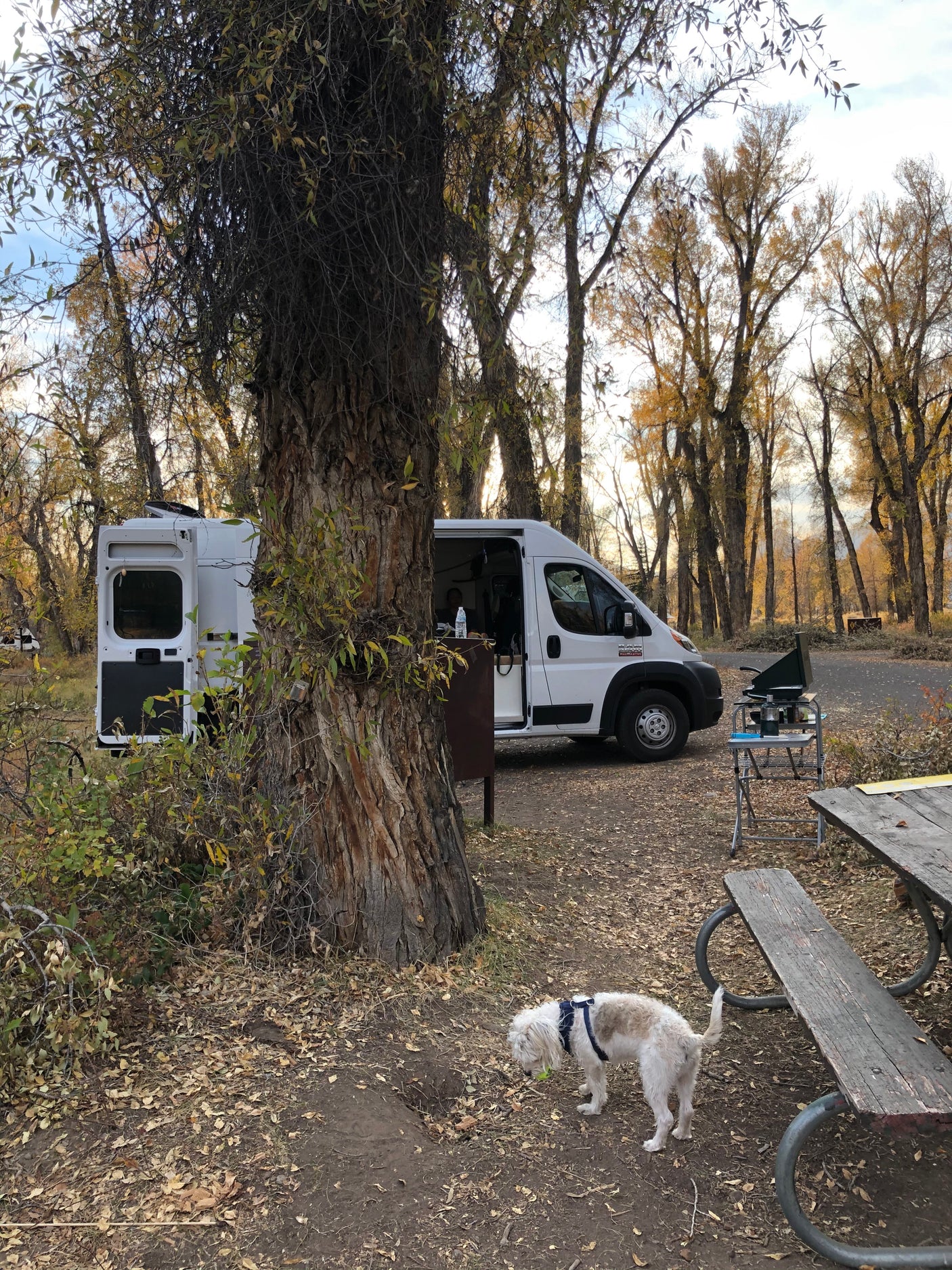Ruthie The Van | 2019 Dodge Ram 2500