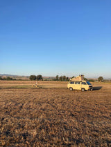 Scenic RV rental: Tan VW camper van with pop-top parked in a sunny, dry field, ready for your camping journey.