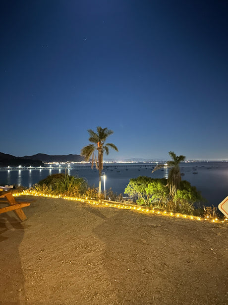 Night scenic view, ideal for an RV rental. Stars, ocean, bridge, palm trees, & string lights.