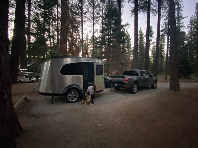 Campsite life: a person and dog by a silver travel trailer (RV rental) and pickup truck in the forest. — photo 18