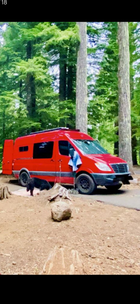 Bright red RV rental van parked in a lush forest campsite. A black dog relaxes nearby. Great for nature and travel.