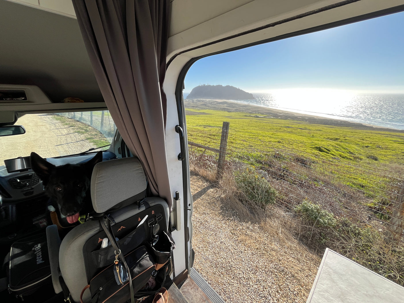 Dog in RV rental with stunning coastal view: green fields, beach, sunny ocean, and distant headland.