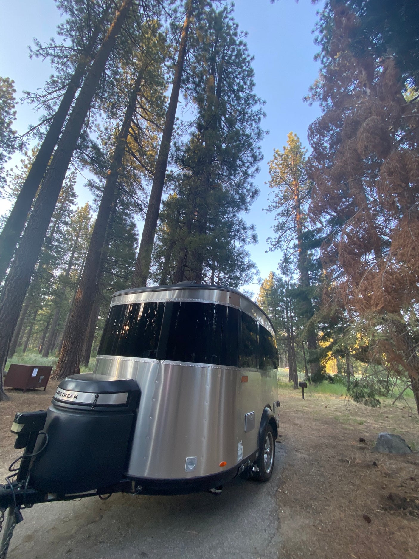A silver rv rental Airstream is parked in a forest campsite, surrounded by tall pine trees. Ideal for nature getaways.