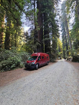 A red rv rental van parked on a forest road amidst towering redwoods. A person walks ahead, highlighting nature's grandeur.