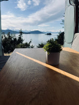 Scenic RV rental: stunning lake & snow-capped mountain views from inside. A sunlit wooden table holds a small green plant.
