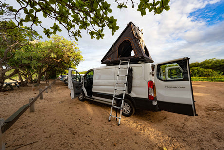 White Ford Transit rv rental with a Roofnest rooftop tent & ladder, doors open, parked on sand in a tree-lined campsite. Perfect for travel!